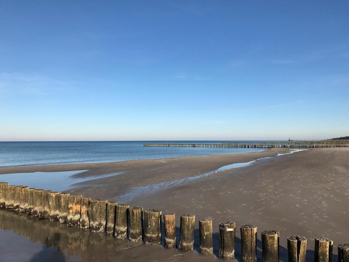 Strandhaus Lindenstrasse Zingst Exteriör bild